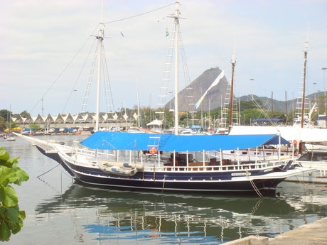 DSC06990