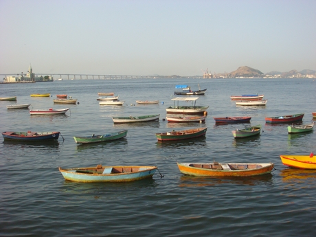 DSC07114