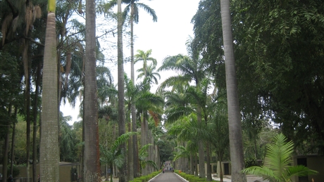 rio (236)