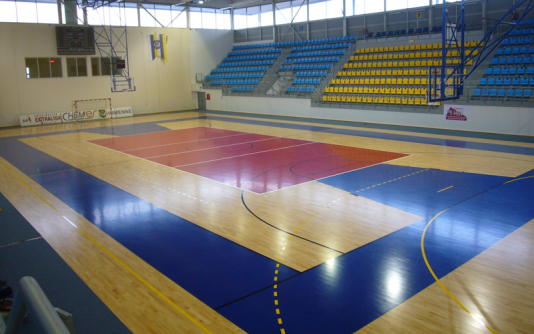 ResizedImage534334-sporthala-humenne